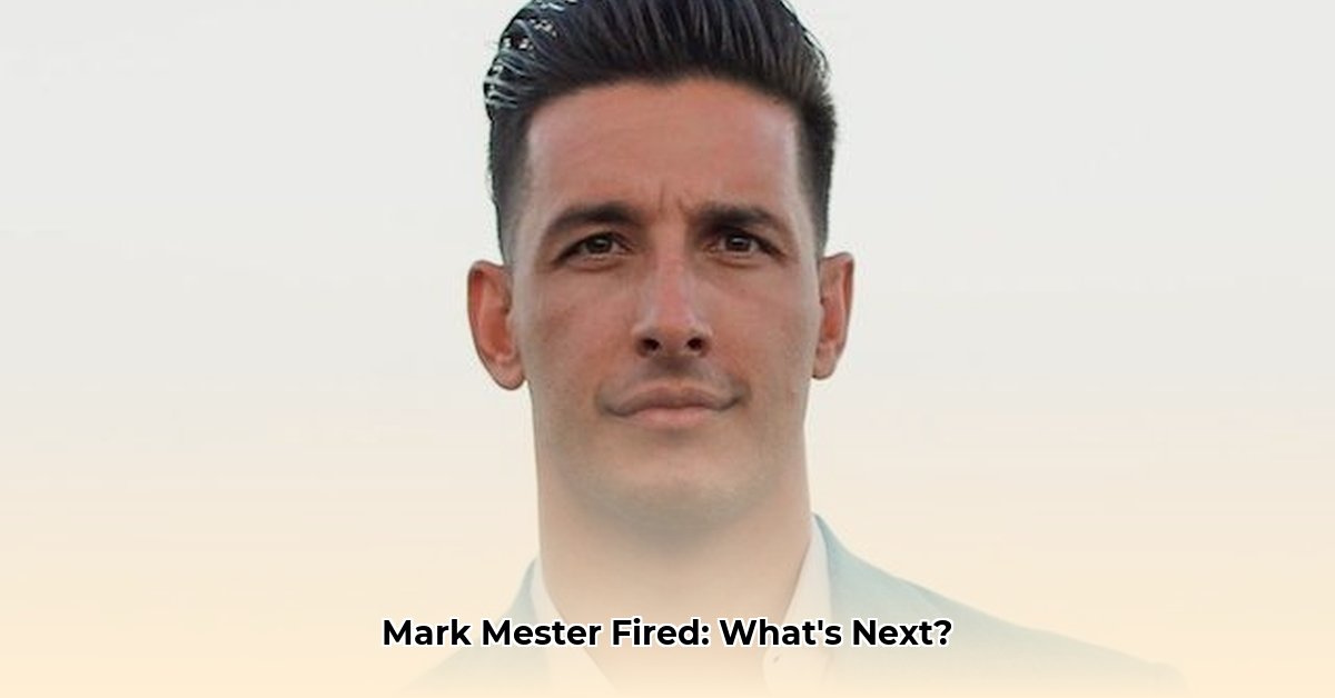 mark-mester-net-worth